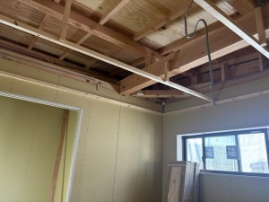 IMG_7794.jpeg