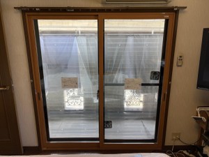 IMG_7661.jpeg