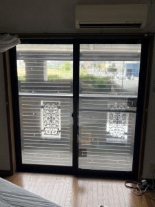 IMG_7880.jpeg